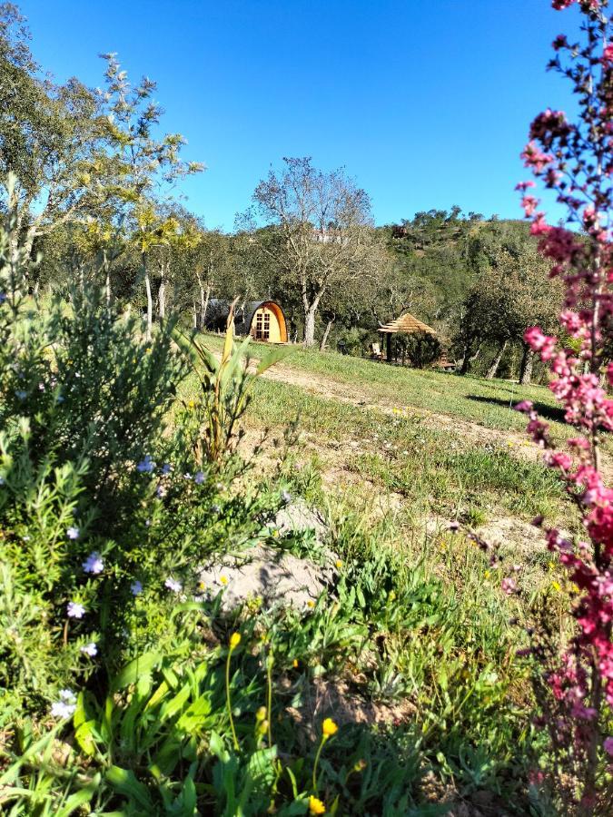 A Baleia, Bungalow De Charme Aljezur Bagian luar foto